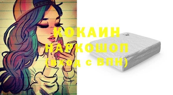 apvp Магас